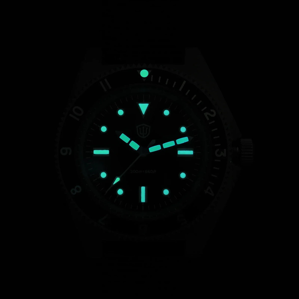Watchdives WD1972