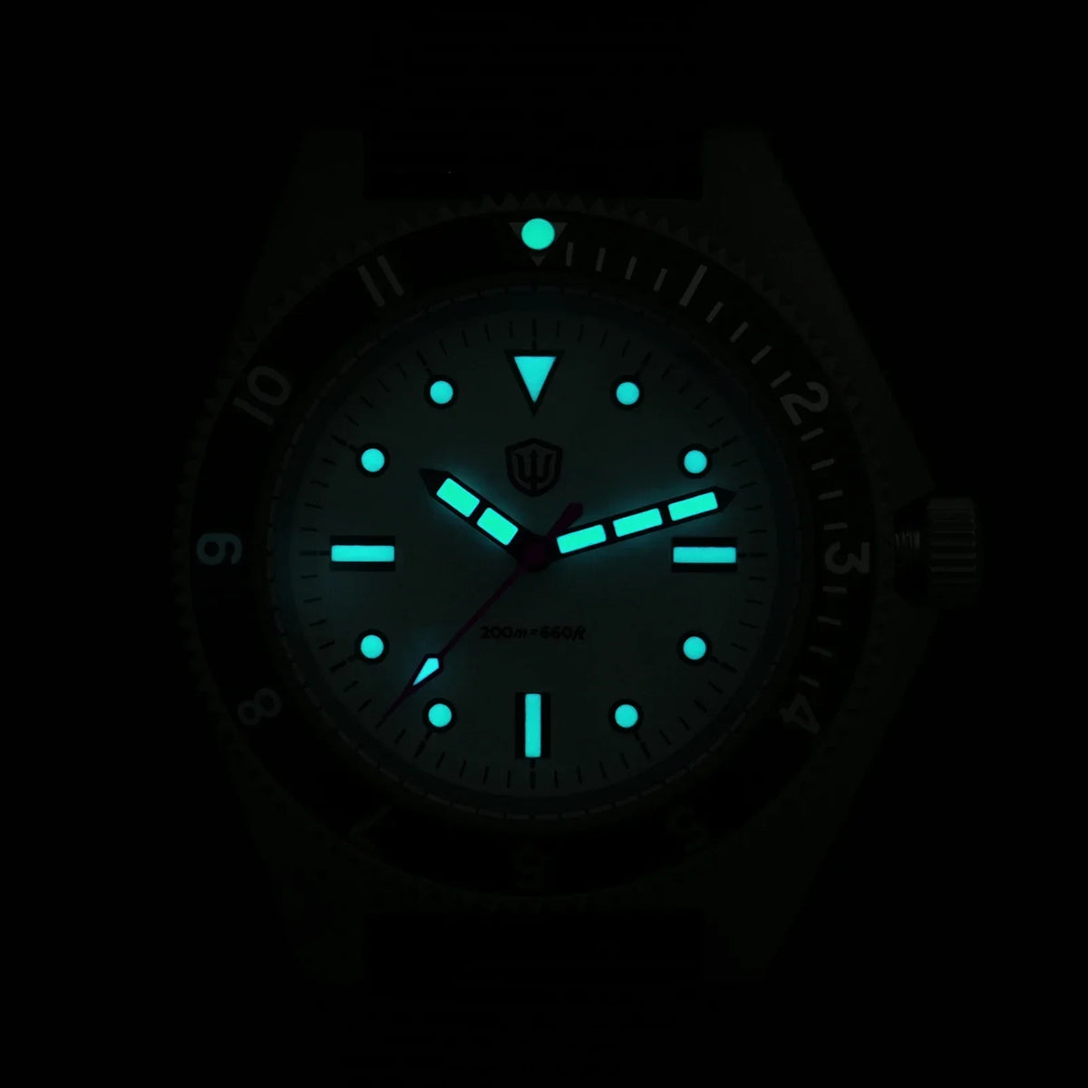 Watchdives WD1972