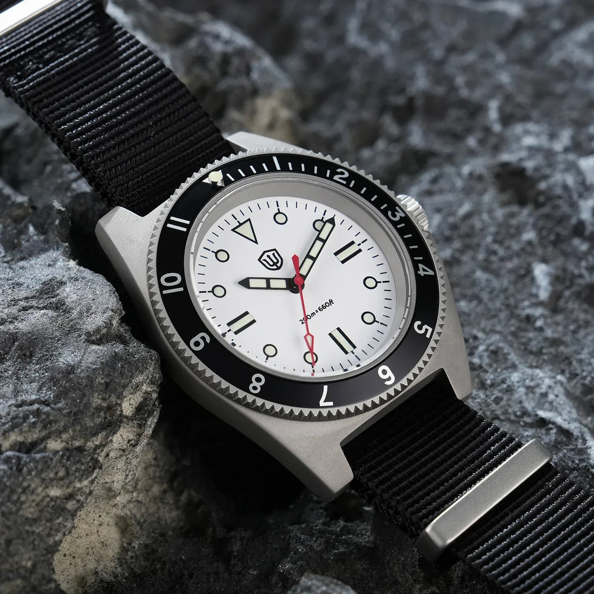 Watchdives WD1972